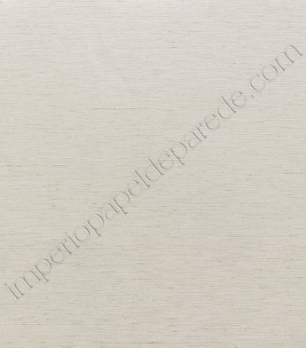 PÁG. 03 - Papel de Parede Vinílico Texture World (Chinês) - Imitação Textura (Bege Claro/ Detalhes com Leve Brilho)