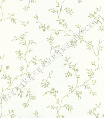 PÁG. 62 - Papel de Parede Vinílico Fragrant Roses (Chinês) - Arabesco (Verde/ Branco)