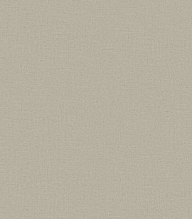 PÁG. 01 - Papel de Parede Textura Bege - Coleção Texturas II Bobinex - Vinílico Importado