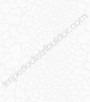 PÁG. 054/105/113 - Papel de Parede Vinílico Friends Forever - Efeito Craquelado (Branco/ Prata)