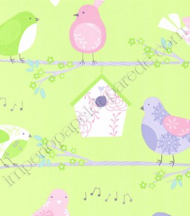 PÁG. 08 - Papel de Parede Vinílico Infantil Just 4 Kids (Inglês) - Pássaros (Tons de Verde/ Lilás/ Roxo/ Branco)