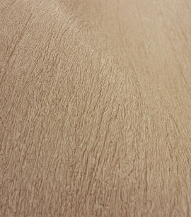 PÁG. 43 - Papel de Parede Vinílico Modern Rustic (Americano) - Textura (Bege)