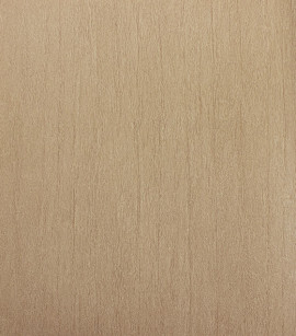 PÁG. 43 - Papel de Parede Vinílico Modern Rustic (Americano) - Textura (Bege)