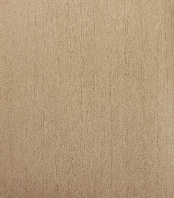 PÁG. 43 - Papel de Parede Vinílico Modern Rustic (Americano) - Textura (Bege)