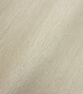 PÁG. 45 - Papel de Parede Vinílico Modern Rustic (Americano) - Textura (Creme)