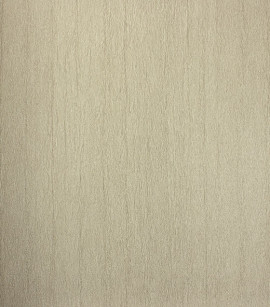 PÁG. 46 - Papel de Parede Vinílico Modern Rustic (Americano) - Textura (Camurça)