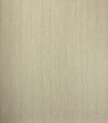 PÁG. 46 - Papel de Parede Vinílico Modern Rustic (Americano) - Textura (Camurça)