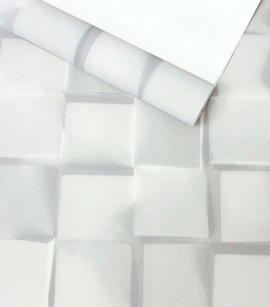 PÁG. 39 - Papel de Parede 3D - Coleção Trinity - Lavável (Gelo)