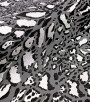 PÁG. 40 - Papel de Parede Animal Print Cinza Chumbo e Prata com Brilho - Coleção Cores e Cenários - Vinílico Importado