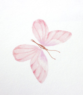 PÁG. 27 - Papel de Parede Borboletas Rosa e Branco - Coleção Bambine - Vinílico Importado