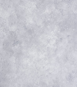 PÁG. 81 - Papel de Parede Cimento Queimado Cinza Leve Brilho - Coleção Space IX - Vinílico Importado