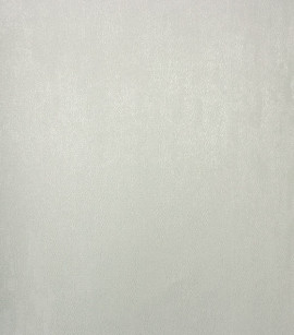 PÁG. 50 - Papel de Parede Cimento Queimado Gelo Brilho Glitter - Coleção Classici 5 - Vinilico Importado