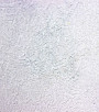 PÁG. 16 - Papel de Parede Cimento Queimado Lilás Acinzentado com Brilho Prata - Coleção Mundo - Vinílico Importado