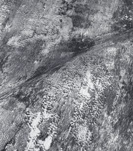 PÁG. 05 - Papel de Parede Efeito Manchado Cinza Chumbo Brilho - Coleção Summer - Vinílico Importado