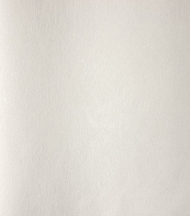 PÁG. 31 - Papel de Parede Efeito Manchado Pérola com Brilho - Coleção Elegance 5 - Vinílico Importado