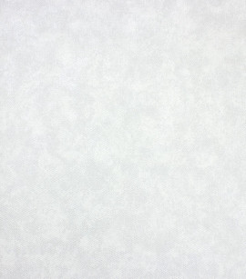 PÁG. 38 - Papel de Parede Efeito Tecido Cinza Claro com Brilho - Coleção Entre Linhas - Vinílico Importado