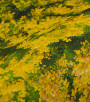 PÁG. 42 - Papel de Parede Floral Amarelo e Verde - Coleção Infinity G - Vinílico Importado
