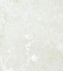 PÁG. 00 - Papel de Parede Floral Off-White Detalhes em Brilho - Coleção Verona 2 - Vinílico Importado