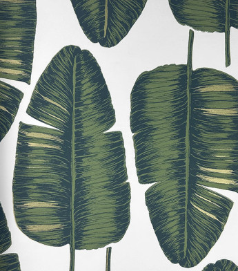 PÁG. 27 - Papel de Parede Folhagem Verde Brilho - Coleção Summer - Vinílico Importado