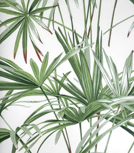 PÁG. 22 - Papel de Parede Folhagem Verde - Coleção Summer - Vinílico Importado