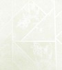 PÁG. 06 - Papel de Parede Geométrico Estilizado Off-White (Brilho) - Coleção Colorkey - Vinílico