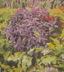 PÁG. 34 - Papel de Parede Jardim Vertical Verde - Coleção Infinity G - Vinílico Importado