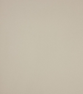 PÁG. 13 - Papel de Parede Liso Bege - Coleção Space IX - Vinílico Importado
