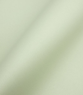 PÁG. 29 - Papel de Parede Liso Verde Claro - Coleção Valence - Vinilizado Importado