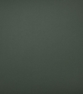 PÁG. 28 - Papel de Parede Liso Verde Oliva - Coleção Valence - Vinilizado Importado