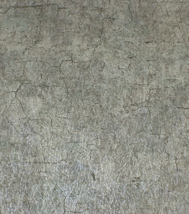 PÁG. 91 - Papel de Parede Marmorizado Bege Acinzentado Brilho - Coleção Classici 3 - Vinilico Importado