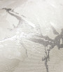 PÁG. 80 - Papel de Parede Marmorizado Off-White e Cinza - Coleção Criativo 3 - Vinilico Importado