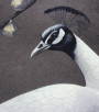 PÁG. 07 e 08 - Papel de Parede Pavão Marrom - Coleção Reno - Non-Woven Importado