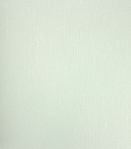PÁG. 64 - Papel de Parede Riscas Verde Menta Brilho - Coleção Classici 5 - Vinilico Importado