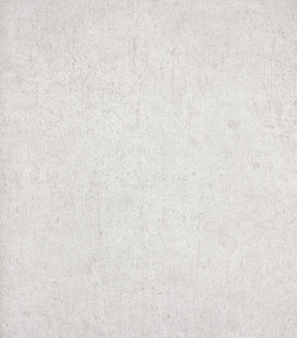 PÁG. 10, 18, 24 e 49 - Papel de Parede Textura Bege Claro - Coleção Reno - Non-Woven Importado