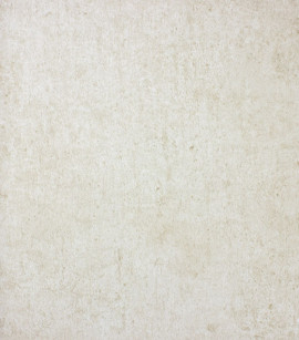 PÁG. 15, 41 e 50 - Papel de Parede Textura Bege - Coleção Reno - Non-Woven Importado