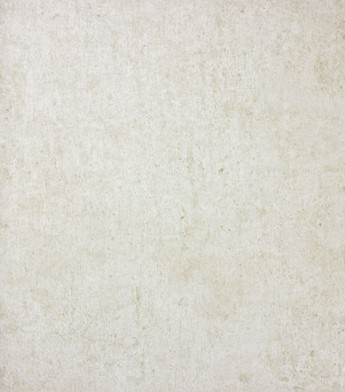 PÁG. 15, 41 e 50 - Papel de Parede Textura Bege - Coleção Reno - Non-Woven Importado
