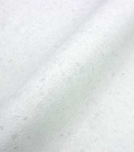 PÁG. 06, 28, 44, 46 e 54 - Papel de Parede Textura Cinza Claríssimo - Coleção Reno - Non-Woven Importado