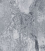 PÁG. 37 - Papel de Parede Textura Croco Cinza com Brilho - Coleção La Rochelle - Vinílico Importado