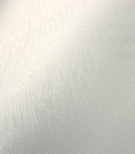PÁG. 07 - Papel de Parede Textura Off-White Brilho - Coleção Classici 6 - Vinílico Importado