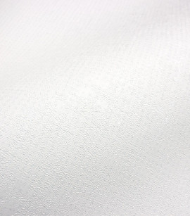 PÁG. 81 - Papel de Parede Textura Off-White com Brilho - Coleção Criativo 3 - Vinílico Importado