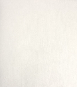 PÁG. 39 - Papel de Parede Textura Off-White Brilho - Coleção Classici 5 - Vinilico Importado