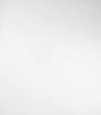 PÁG. 08 - Papel de Parede Texturizado Branco - Coleção Infinity G - Vinílico Importado